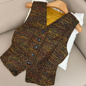 【预售7天】良木礼羊毛马甲（D25102701）