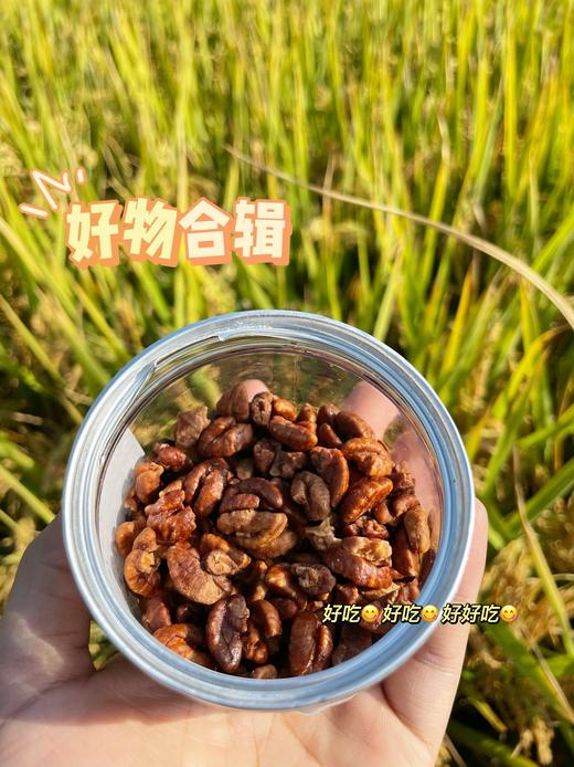 硬核队长山核桃仁 商品图0