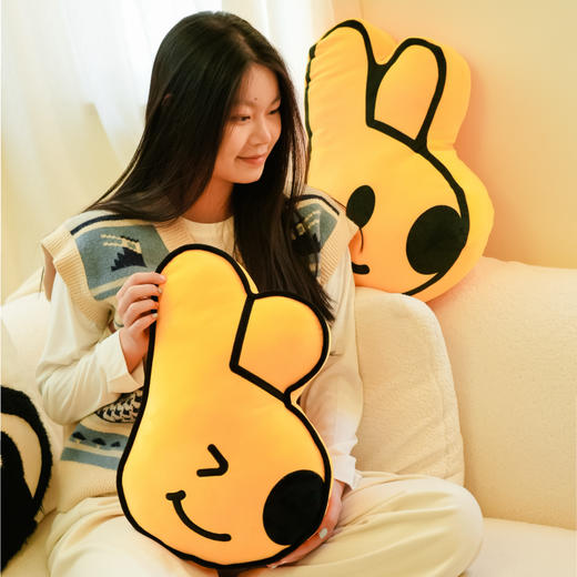 2025秋冬系列团团表情包抱枕 商品图0