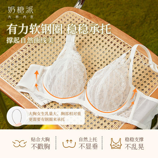[浮梦法式杯]全罩杯文胸深v性感蕾丝大胸显小聚拢承托女士文胸 商品图3