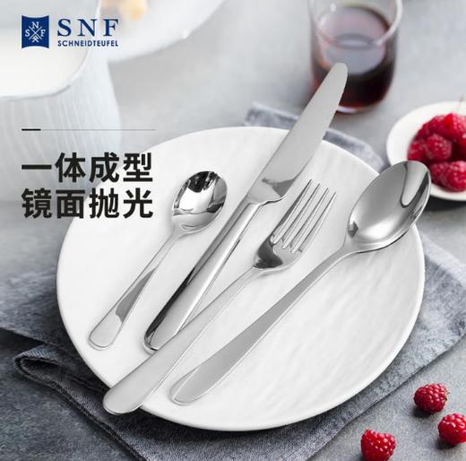 施耐福 stella系列西餐具四件套 商品图0