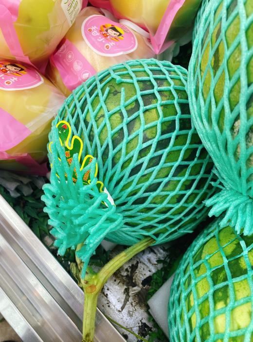 李明星西瓜一个 商品图1