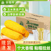 海伦刘老杆黄甜糯玉米箱装*8穗 商品缩略图0