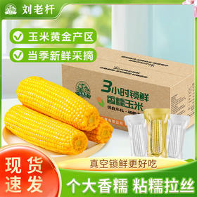 海伦刘老杆黄甜糯玉米箱装*8穗