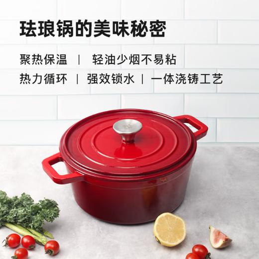 施耐福圆形铸铁锅24cm 商品图1