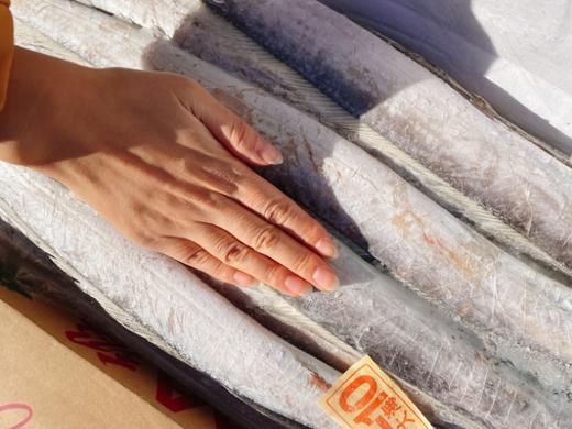 精品刀鱼一箱 商品图1