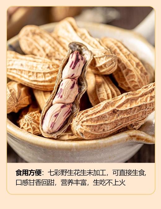 七彩花生220g 商品图2