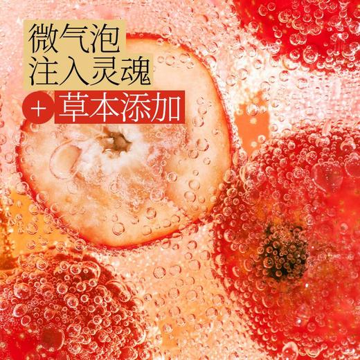 好望水 天然果汁汽水300ml*6瓶 商品图3