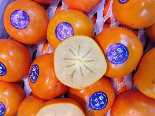 巧克力脆柿子2斤 商品图3