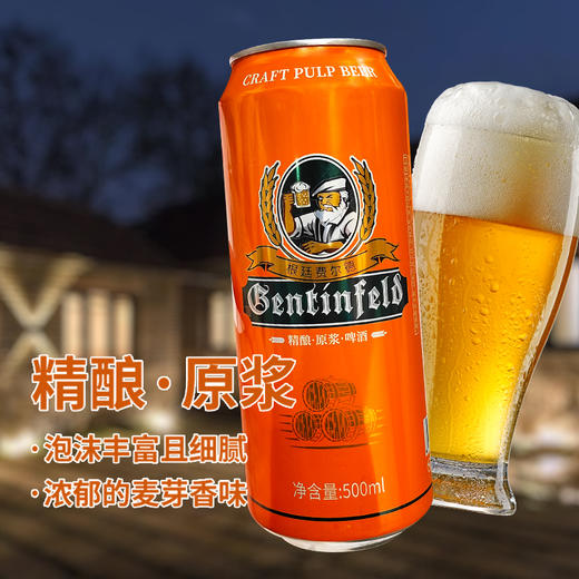 根廷费尔德啤酒500ml*12【箱】 商品图3