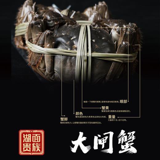 【大闸蟹】888型蟹卡（公3.6两，母2.6两，合计8只） 商品图2