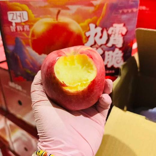 九霄云脆苹果4斤礼盒装10~11个  小果 商品图3