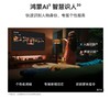 华为智慧屏 MateTV 65英寸 享免费送装一体服务 商品缩略图5