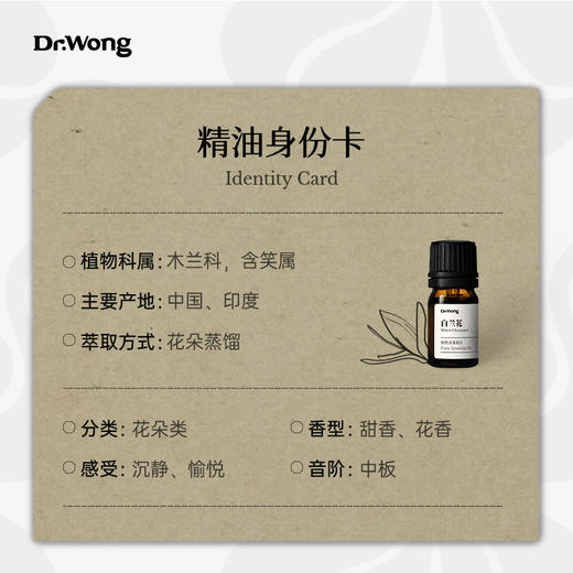 白兰花 植物香薰精油 商品图2