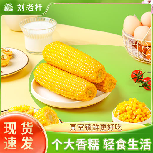 海伦刘老杆黄甜糯玉米箱装*8穗 商品图2