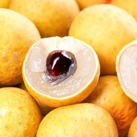 【泰国新鲜龙眼】新鲜桂圆 细腻多汁 香味浓郁 口感鲜美 壳薄核小 肉质鲜嫩 晶莹剔透 2斤装