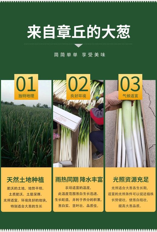 山东章丘大葱 新鲜蔬菜 精选嫩葱甜葱 商品图0