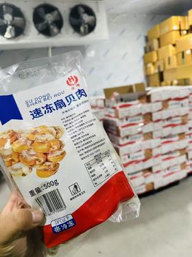 宏伟速冻扇贝肉2袋