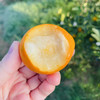 【云南脆蜜小金桔】也叫脆蜜金柑 第三代脆蜜金柑 顺丰包邮 甜脆爽口 纯甜多汁 少籽甚至无籽 香甜浓厚 口感顺滑 4种规格任选 商品缩略图0