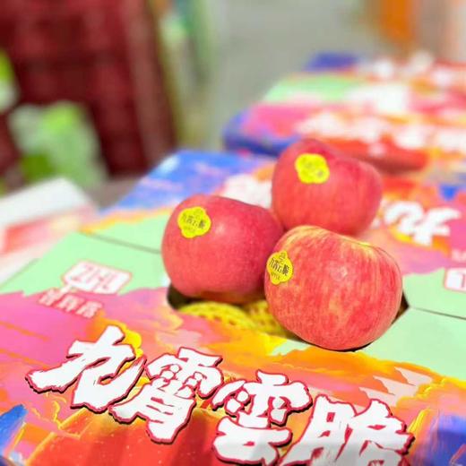 九霄云脆苹果4斤礼盒装10~11个  小果 商品图0