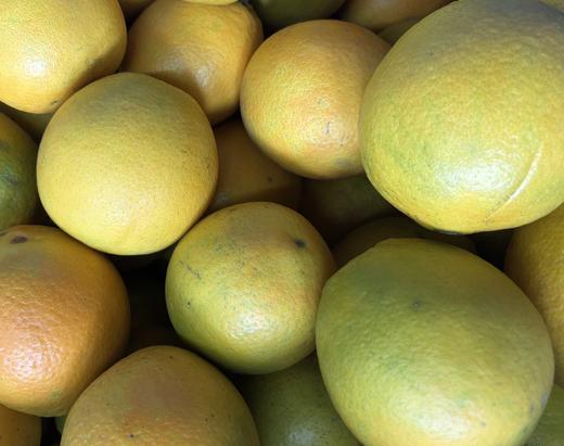 825江西老树甜橙 6个/约3.2斤 商品图0