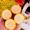 【云南脆蜜小金桔】也叫脆蜜金柑 第三代脆蜜金柑 顺丰包邮 甜脆爽口 纯甜多汁 少籽甚至无籽 香甜浓厚 口感顺滑 4种规格任选 商品缩略图10