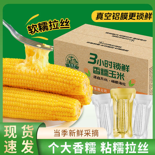 海伦刘老杆黄甜糯玉米箱装*8穗 商品图3