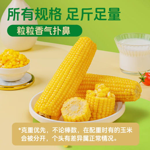 海伦刘老杆黄甜糯玉米箱装*8穗 商品图1