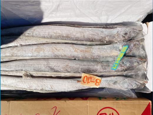 精品刀鱼一箱 商品图2