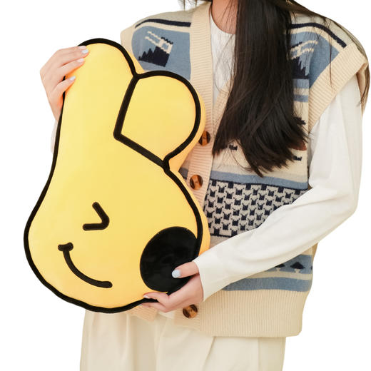 2025秋冬系列团团表情包抱枕 商品图4