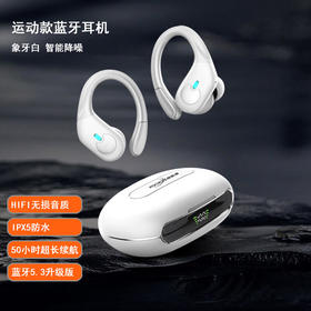 【分仓直发包邮】KOOKZZ酷客者挂耳运动蓝牙耳机R09