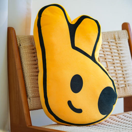 2025秋冬系列团团表情包抱枕 商品图2