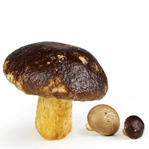 天生好果 香菇脆片100g 商品图1