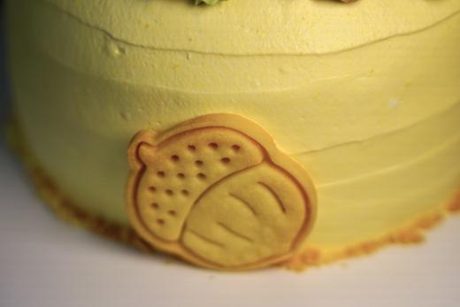 秋季上新｜曲奇小松鼠栗子蛋糕 商品图2