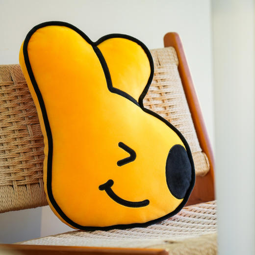 2025秋冬系列团团表情包抱枕 商品图1