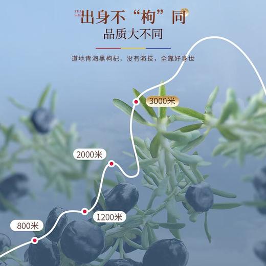 【福东海】早红晚黑枸杞原浆300ml（30ml*10袋）/盒 商品图4