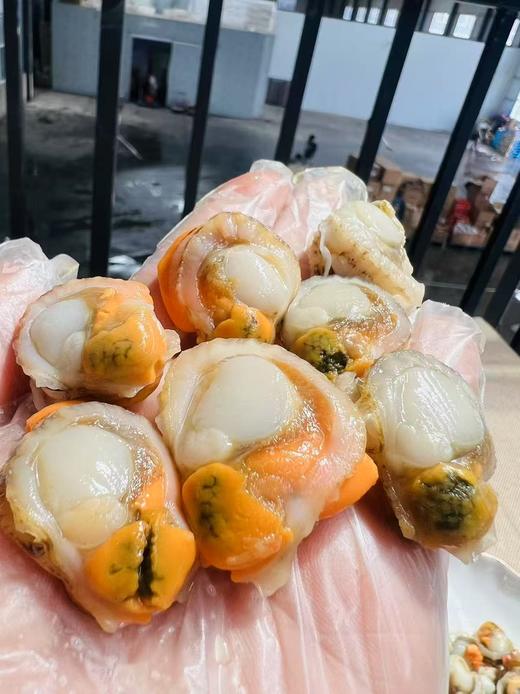 宏伟速冻扇贝肉2袋 商品图1