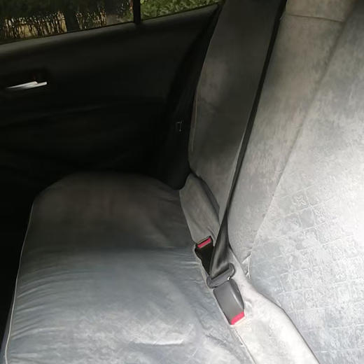 丰田 雷凌 智能电混双擎 1.8L领先版【长租-北京】 商品图5