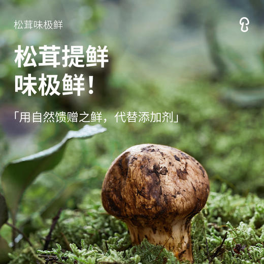 松鲜鲜松茸味极鲜（酿造酱油）500ml 商品图3