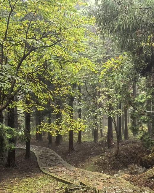 BAM【见山】2 天 1 夜四明山十字裤赏秋，夜宿星辰山野 商品图1