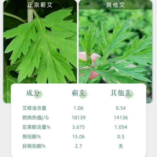 蕲仁堂养生沐足包  每袋30包，每包20g 商品图3