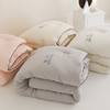 【换季出清】自然醒云绒棉软胖胖熊抱被大豆被冬被芯YBY 商品缩略图12