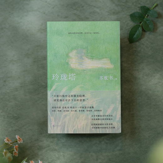 玲珑塔 苏枕书小说集 七个身陷世俗玲珑宝塔故事 深描知识女性的精神探索与生活图景 商品图1