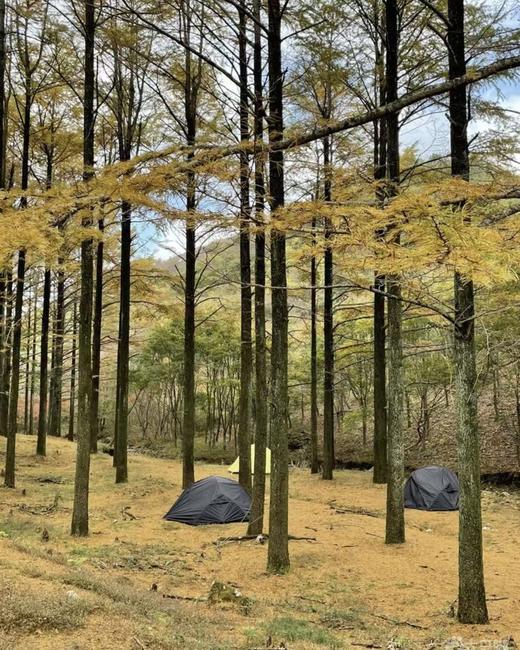 BAM【见山】2 天 1 夜四明山十字裤赏秋，夜宿星辰山野 商品图2