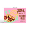 疆果乐每日坚果大礼包600g（商） 商品缩略图0