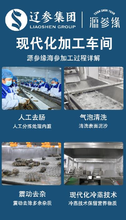 源参缘速发海参30支60g 商品图9