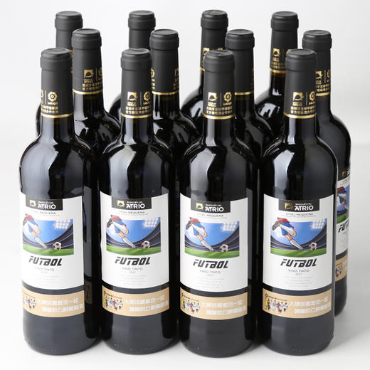 「买一箱送一箱」爱欧德比梦干红葡萄酒750ml 商品图0