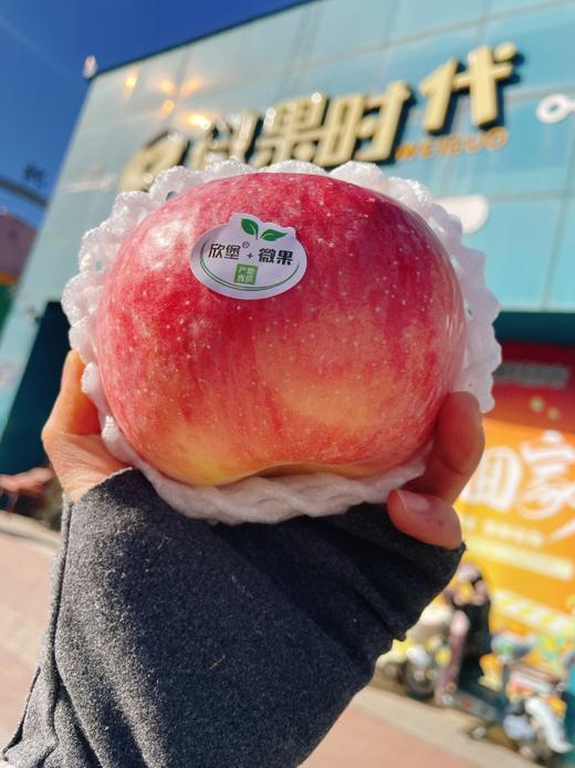 精品红皮阿克苏苹果5斤 商品图1