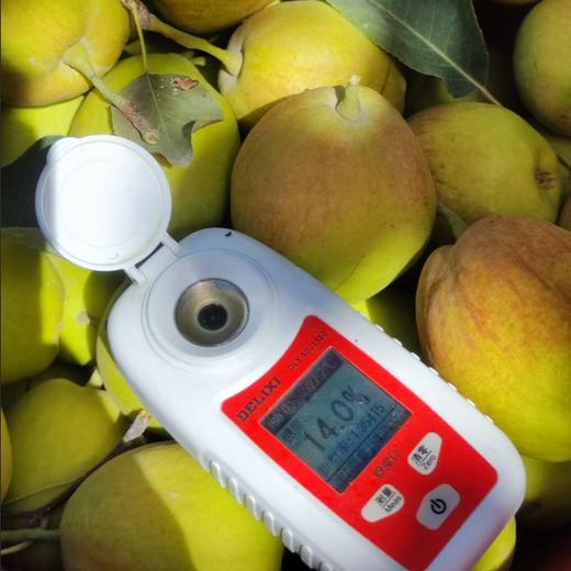 【分仓直发包邮】新疆库尔勒香梨5斤装 商品图1