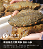 源参缘速发海参30支60g 商品缩略图6
